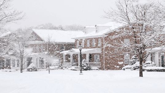 A winter scene shows brick houses and trees covered in snow.