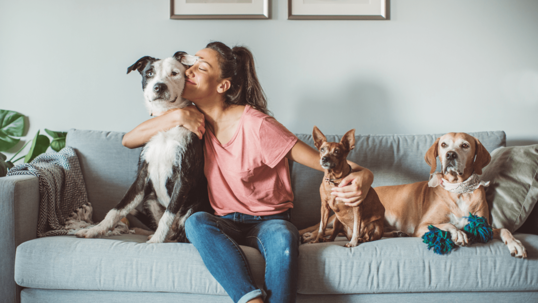 A woman and 3 dogs